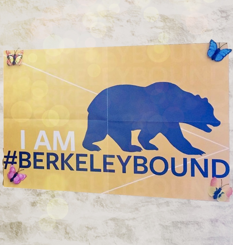 "I am #berkeleybound" poster with bear art and butterfly pins on white wall