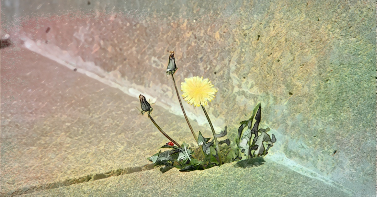 So What Happens Now?