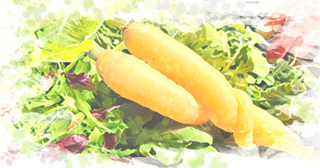 Two carrots embrace each other on a bed of salad greens