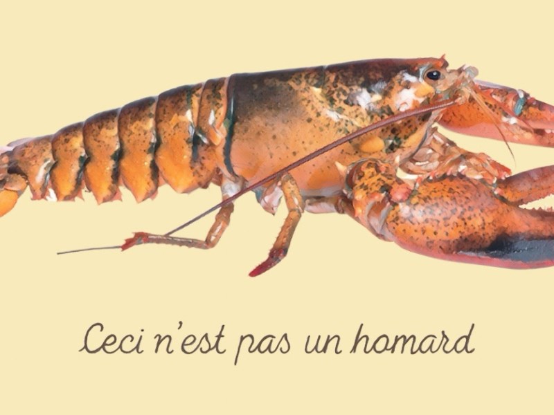 Not a Lobster